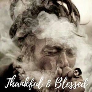 Meet your Posher, Brodrick